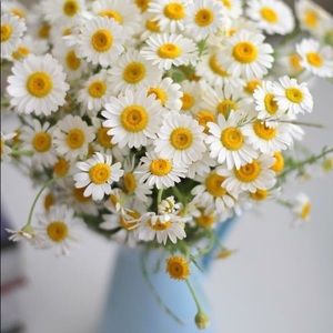 Meet your Posher, Hope